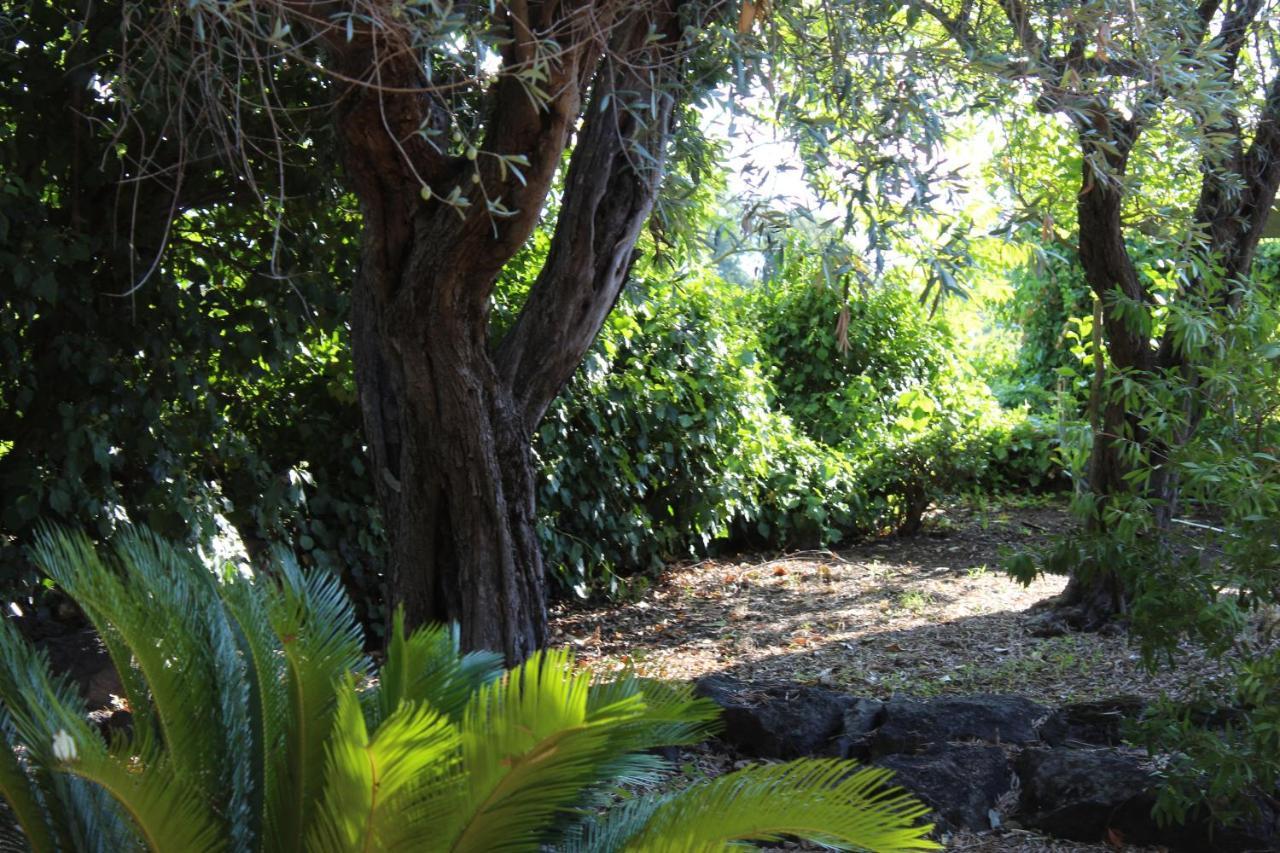 Il Giardino Dei Lucchesi - Country Houses Villa Aci Catena Bagian luar foto
